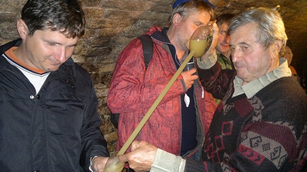 Burčákový pochod 2011
