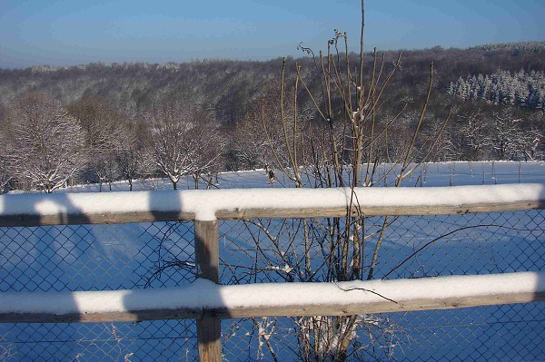 Zimní pochod 29.12.2010