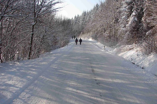 Zimní pochod 29.12.2010