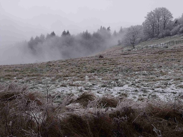 Výšlap 29.12.2011