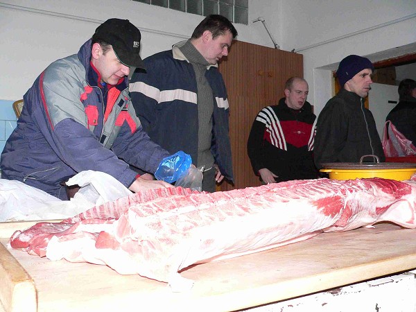 Zabijačka 29.1.2011