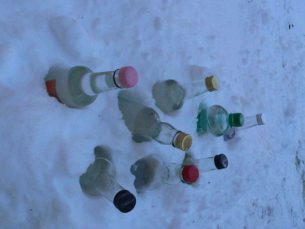 Zabijačka 29.1.2011
