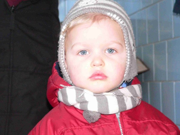 Zabijačka 29.1.2011