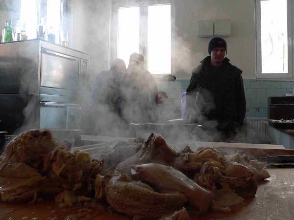 Zabijačka 29.1.2011