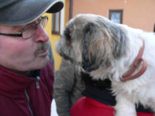 Zabijačka 29.1.2011