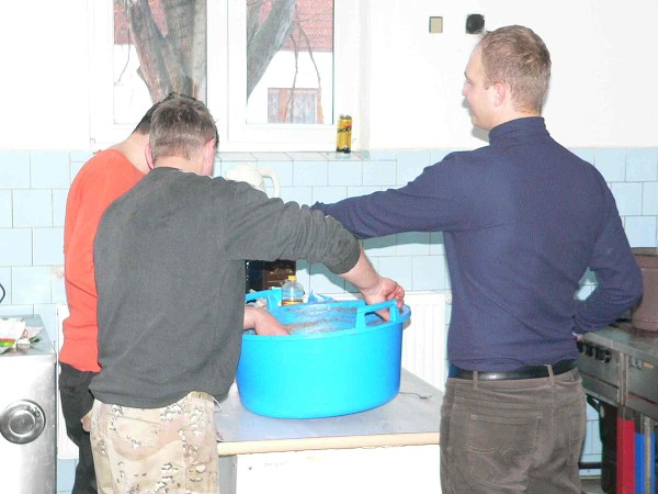 Zabijačka 29.1.2011