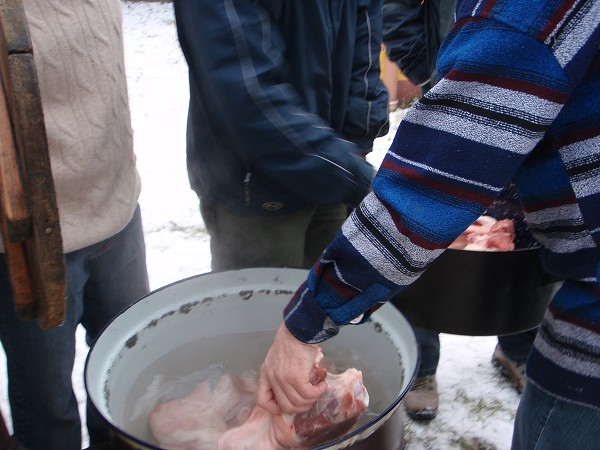 Zabijačka 14.2. 2009