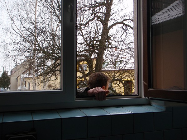 Zabijačka 14.2. 2009